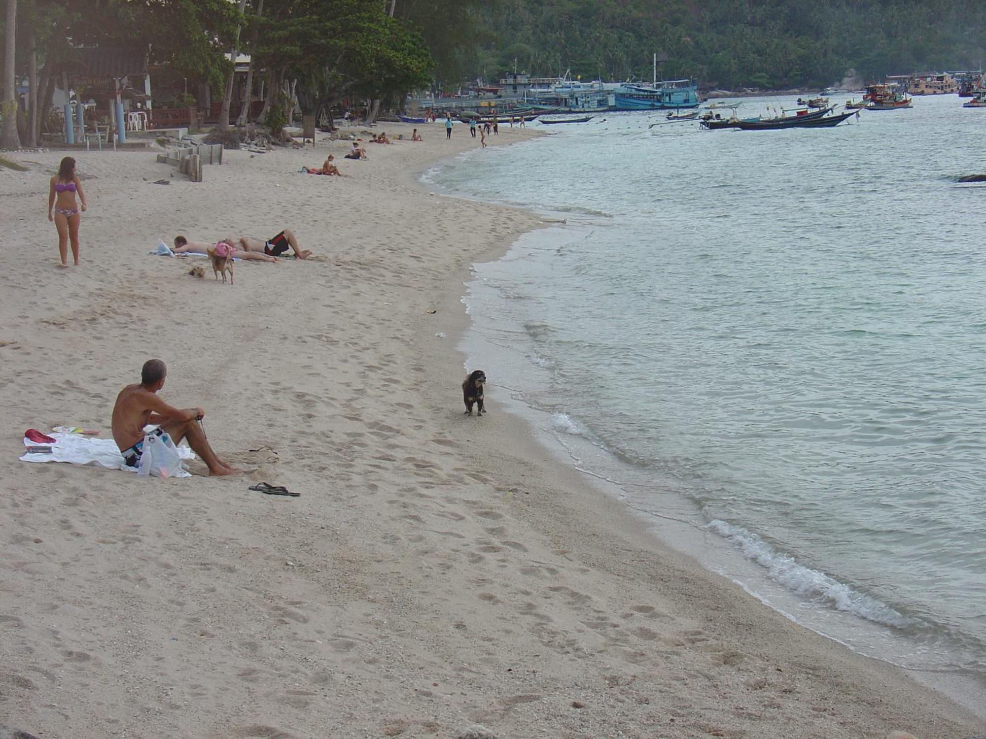 Queen Resort Koh Tao Exterior photo